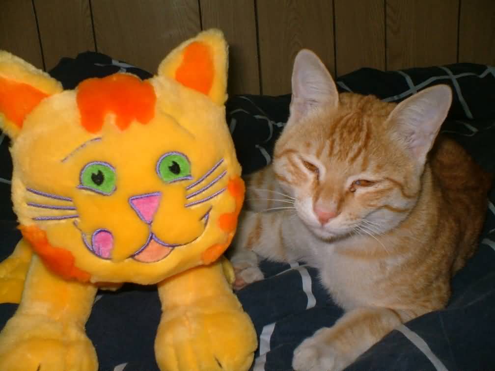 Troy eventually gets to meet his Nemesis!