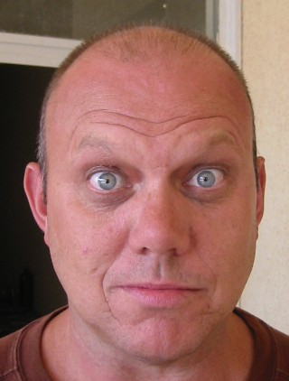 Shrek seeks his Princess...